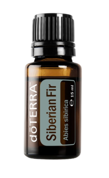 Siberian Fir (Sibirische Tanne) Abies sibirica  15 ml. Flasche